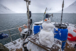 Spitsbergen_2025 (69/78)